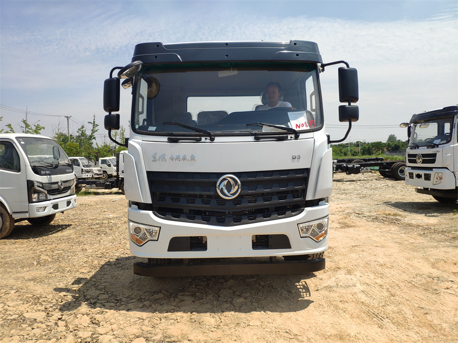 東風(fēng)D3（后雙橋，玉柴245）國六 內(nèi)飾照片圖